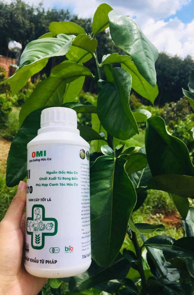 CÔNG DỤNG CỦA PHÂN BÓN HỮU CƠ OMI NITRO