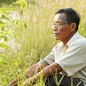 Vỡ nợ vì nuôi cá tra