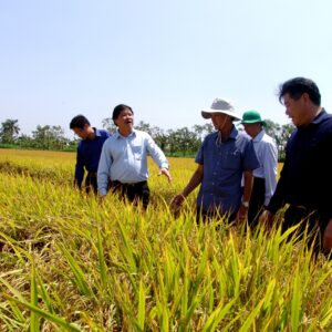 Long An: Nông dân giàu lên nhờ ứng dụng công nghệ cao trong sản xuất nông nghiệp