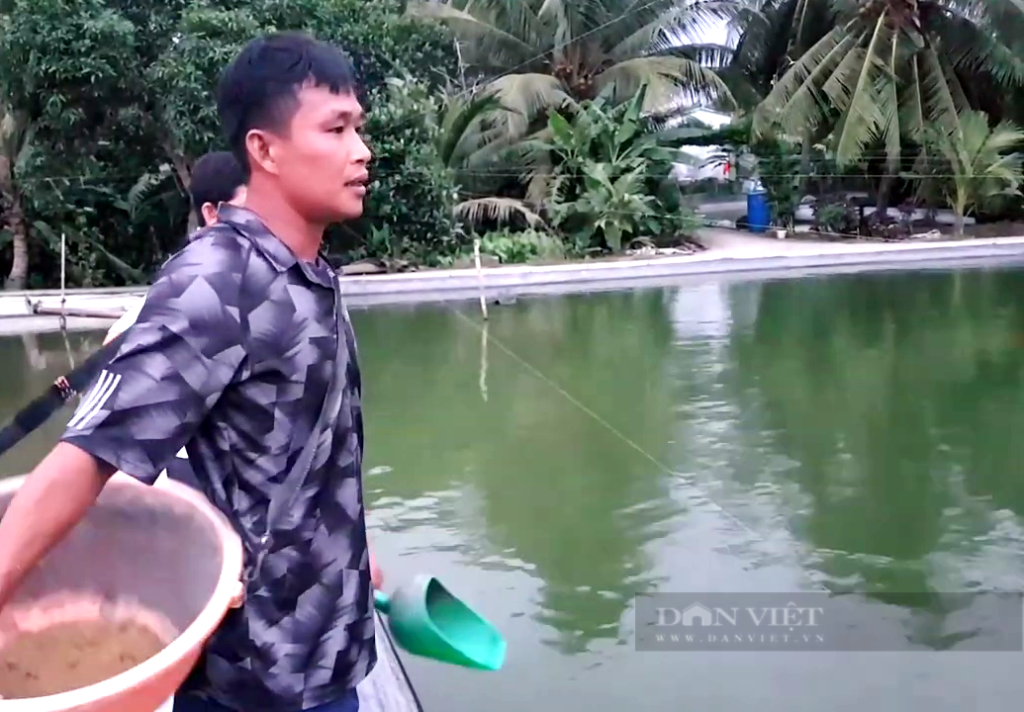Tiền Giang: Ương cá đặc sản đuôi đỏ như son, anh nông dân “thủ phủ trái cây” thu tiền tỷ mỗi năm - Ảnh 2.