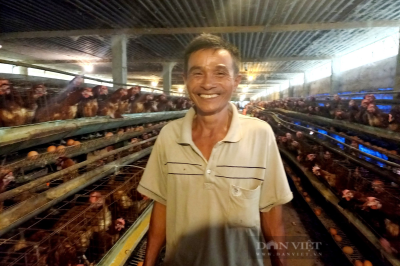 Long An nuôi gà trong trại lạnh, đẻ trứng sòn sòn là Nông dân Việt Nam xuất sắc 2023